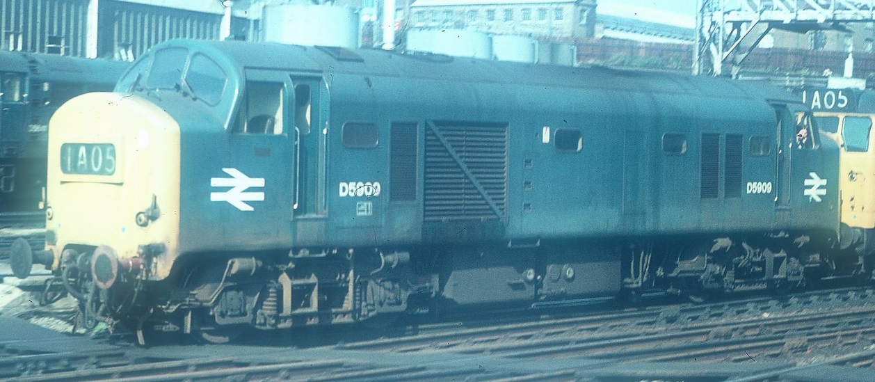 train.jpg