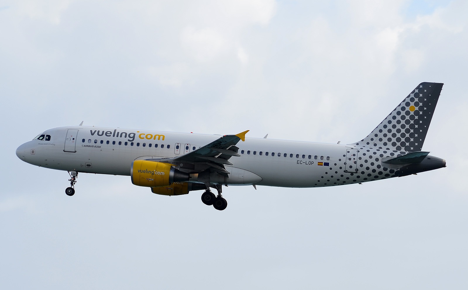 plane.jpg