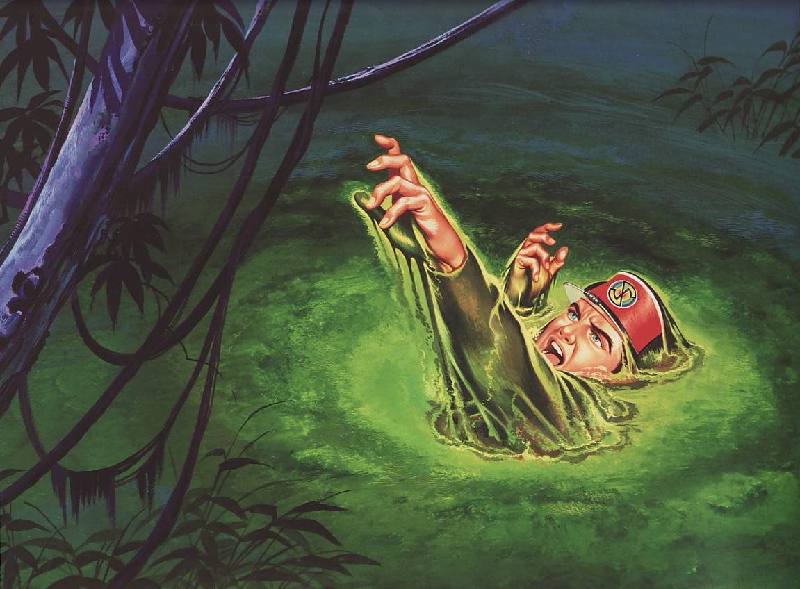 swamp CS.jpg