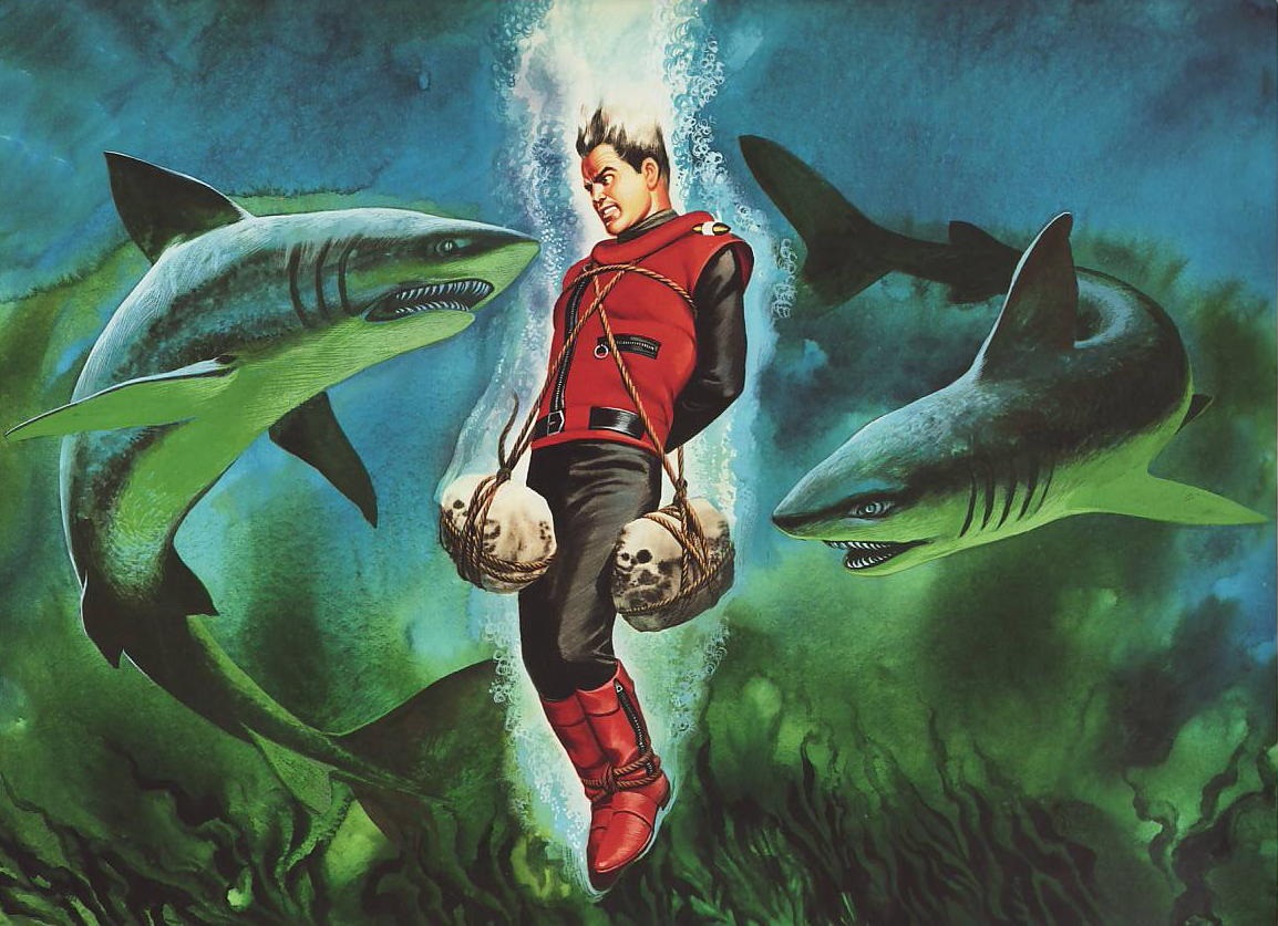 Shark CS.jpg