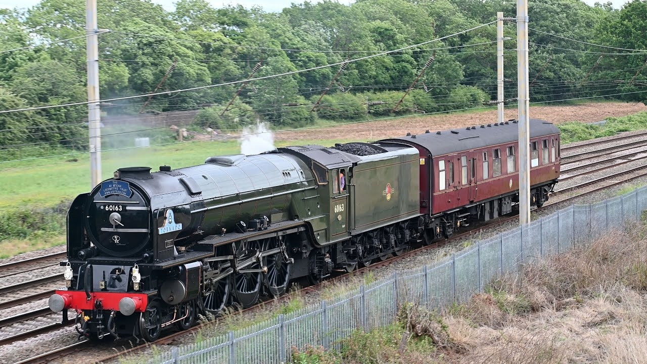 train.jpg