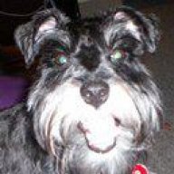 Grosseschnauzer