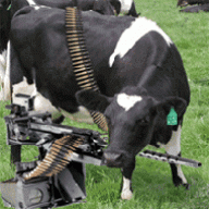 moo-cows with guns