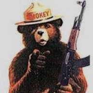 armed bears