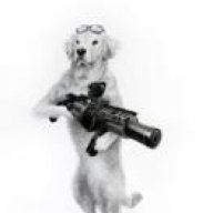 Gun-Toting Animals