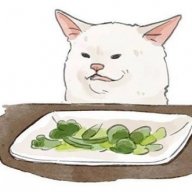 Felis