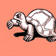 Tortoises