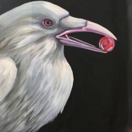 SnowCrow