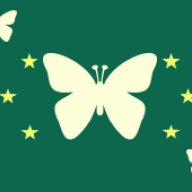 Lauchenoiria