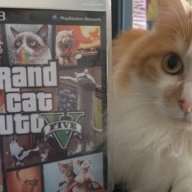 Cat theft auto700
