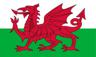 Welsh Cowboy