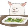 Felis