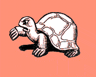 Tortoises