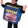 9003