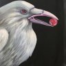 SnowCrow