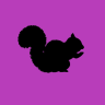 FluffySquirrel