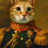 Lionsmeow