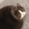 Verl