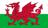 Welsh Cowboy