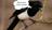 Magpie