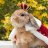 Rabbitz