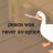 The Big Bad Goose