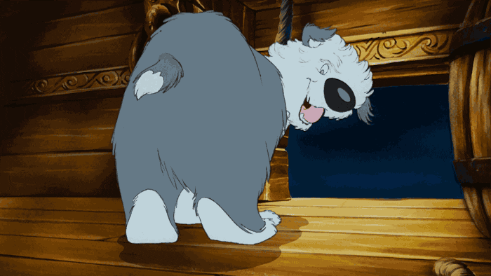 giphy.gif
