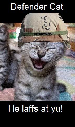 defendercat.jpg