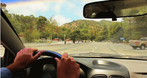 giphy.gif