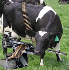 moo.jpg