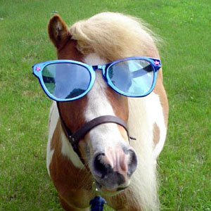horsing.jpg