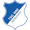 TSGHoffenheim100px.png