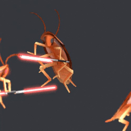 barata-cockroach.gif