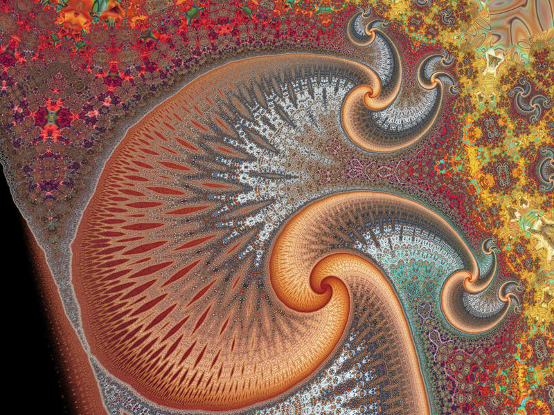 cuttleship_by_almonaster-dbh7ckn.jpg
