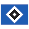 HSV100px.png
