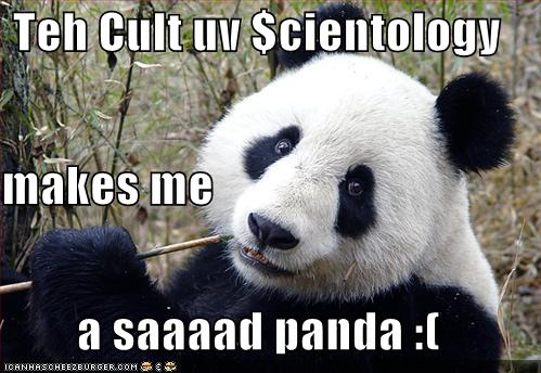 sad-panda.jpg