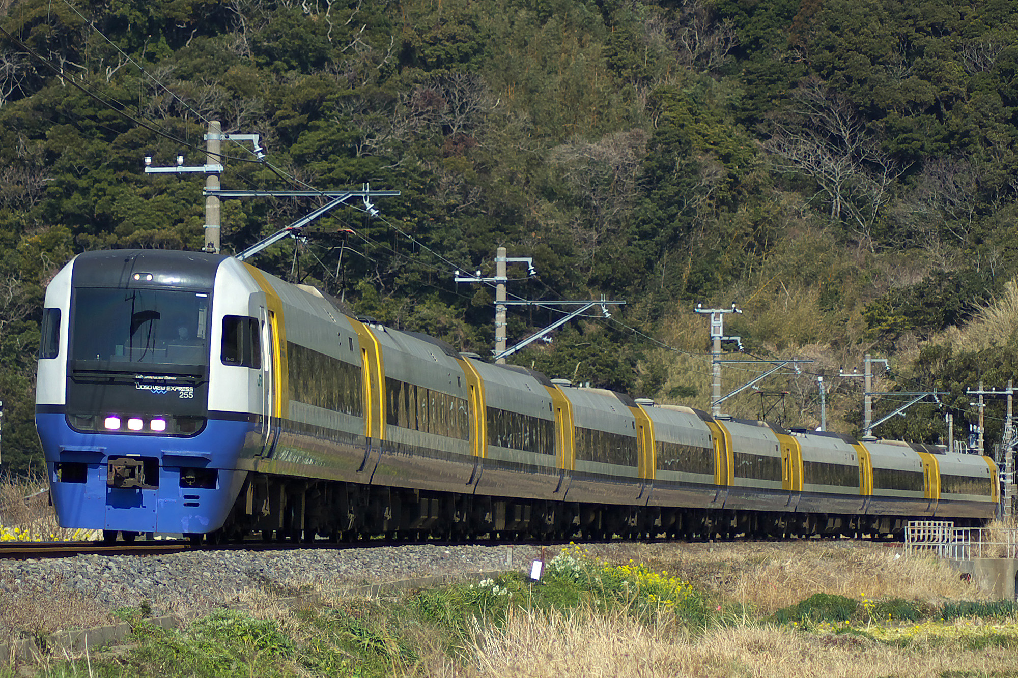 JR_East_255_Limited_Express_Sazanami.jpg