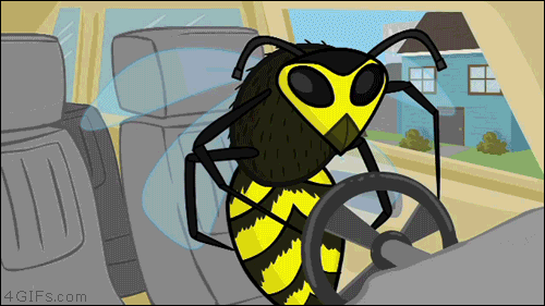 Wasp+is+driving_70a081_5353755.gif