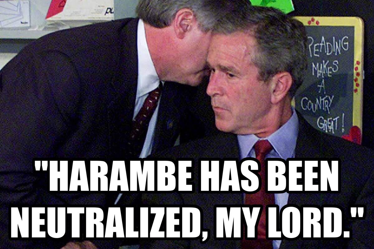 Cm9QM_WUMAA0sQY.jpg