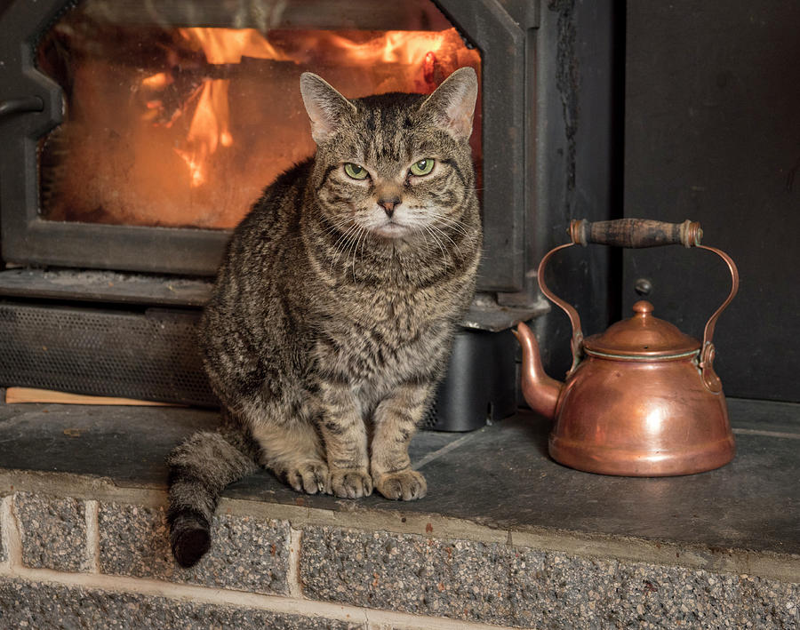 cat-by-the-fire-jean-noren.jpg
