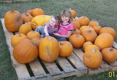 pumpkins.jpg