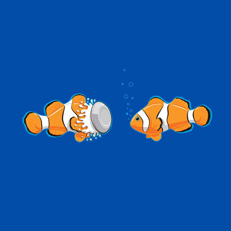 clownfish-glennz-square_1024x1024.jpeg