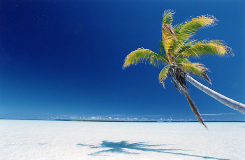 tahiti.jpg