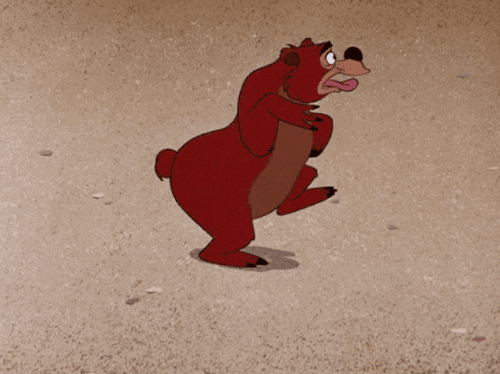 tumblr_pmu294ISkb1wzypxlo1_500.gif