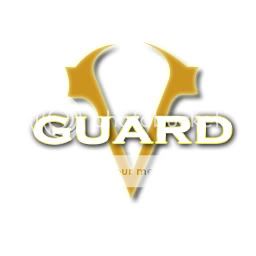 AssassinsCreedLogo.jpg