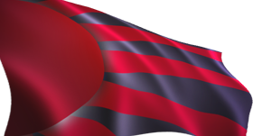 twp_flag_overlay_01.png