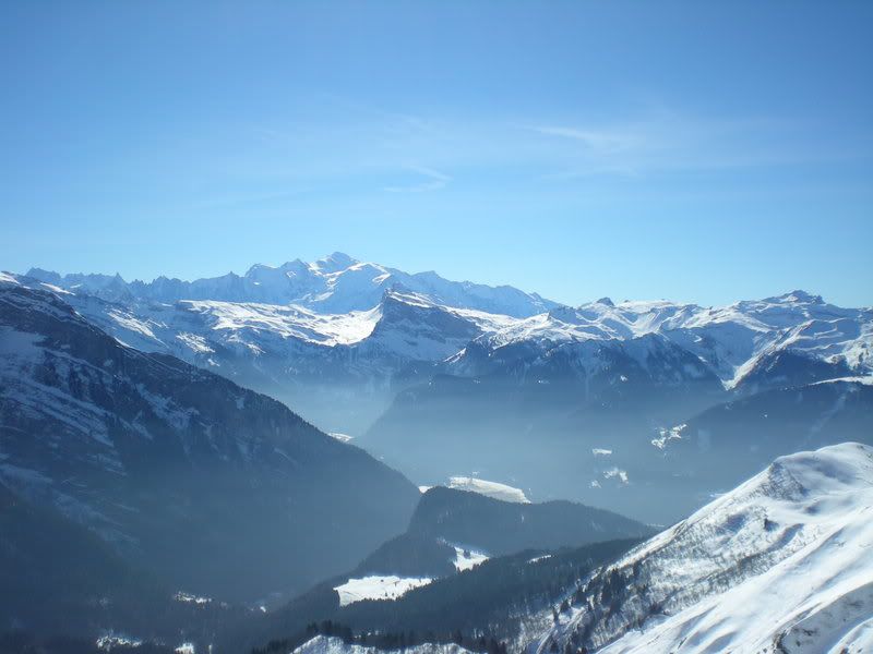 Bild275-1.jpg