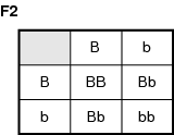 06fig02.png