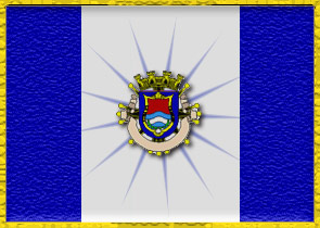 tnpflag_4.jpg