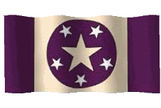 Meritocracy-flag.gif